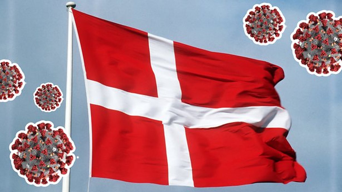 Det brittiska muterade viruset fortsätter sprida sig i Danmark. 